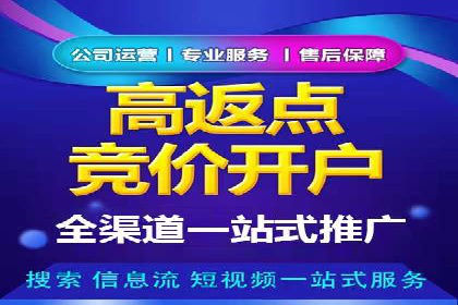 SEM竞价广告优化全攻略：经典案例解析
